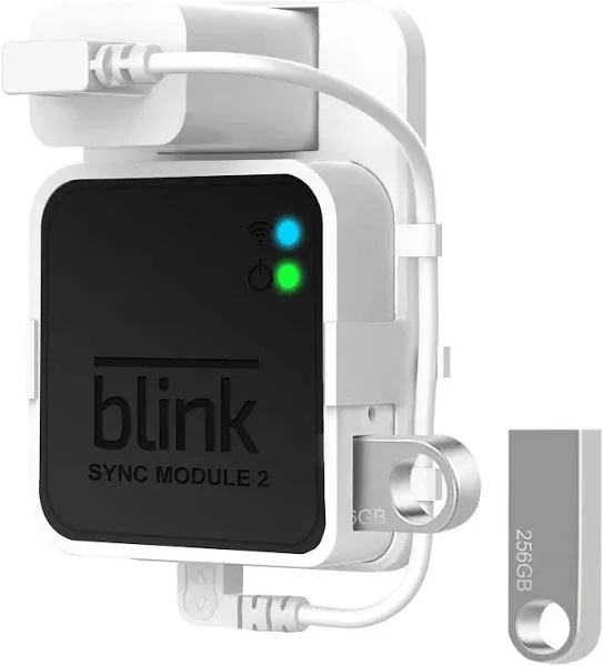 256GB Blink USB Flash Drive and Blink Sync Module 2 Mount, No-Drilling Easy Move