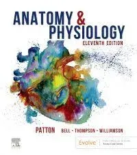 Anatomy & Physiology