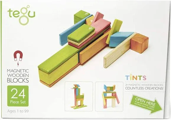 Tegu 24 Piece Magnetic Set