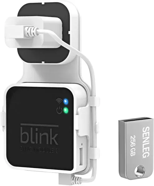 256GB Blink USB Flash Drive and Blink Sync Module 2 Mount, No-Drilling Easy Mov