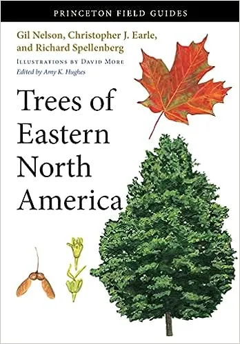 Trees of Eastern North America: 93