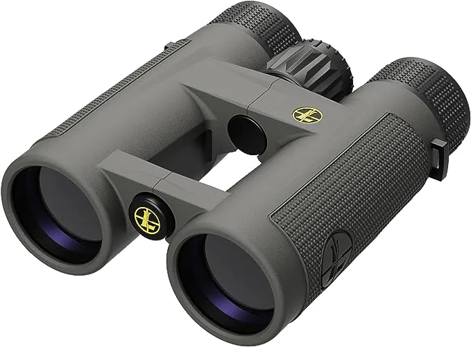 Leupold BX-4 Pro Guide HD Binoculars