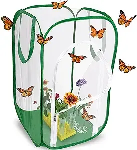 Big Cube Large Butterfly Habitat with Drawbridge Open Door and Observation Window | 23”L x 23”W x 24”H | Raise Up to 20 Monarchs with Cage by MONARCH BUTTERFLY LIFE