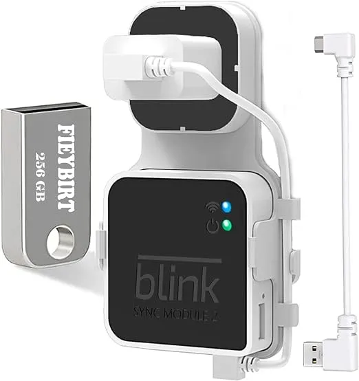 256GB Blink USB Flash Drive and Sync Module 2 Mount, Space Saving and Easy Move Mount Bracket Holder for Blink Outdoor Indoor Security System (Blink Sync Module 2 is NOT Included)