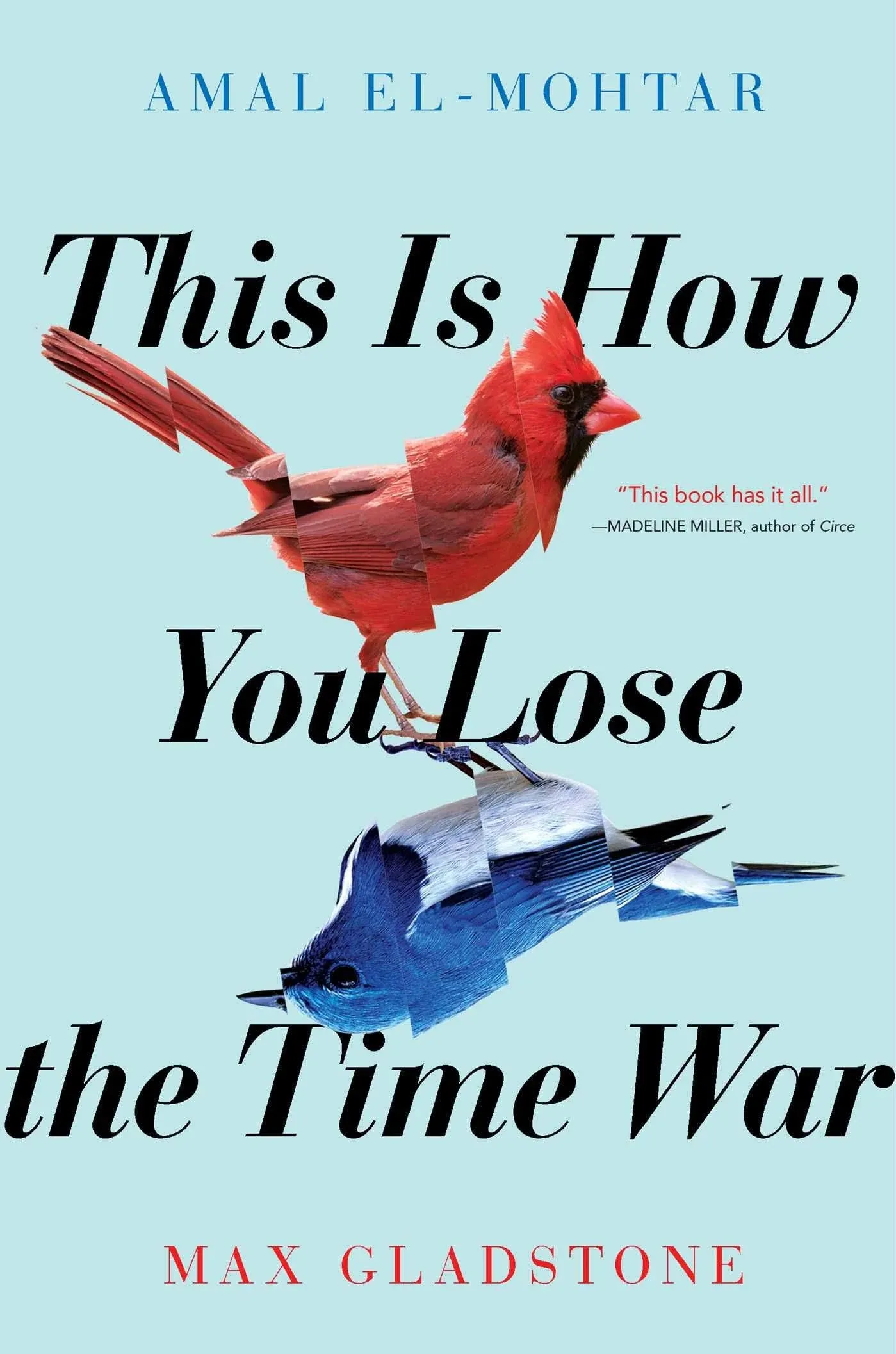 This Is How You Lose the Time War by Amal El-Mohtar: New