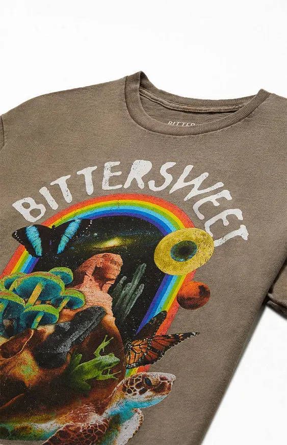 Bittersweet Men's Turtles All The Way Down T-Shirt in Brown - Size Medium