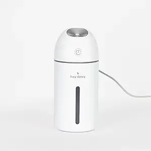 Hey Dewy Portable Facial Hydrating Cool Mist Humidifier (Wired Version)