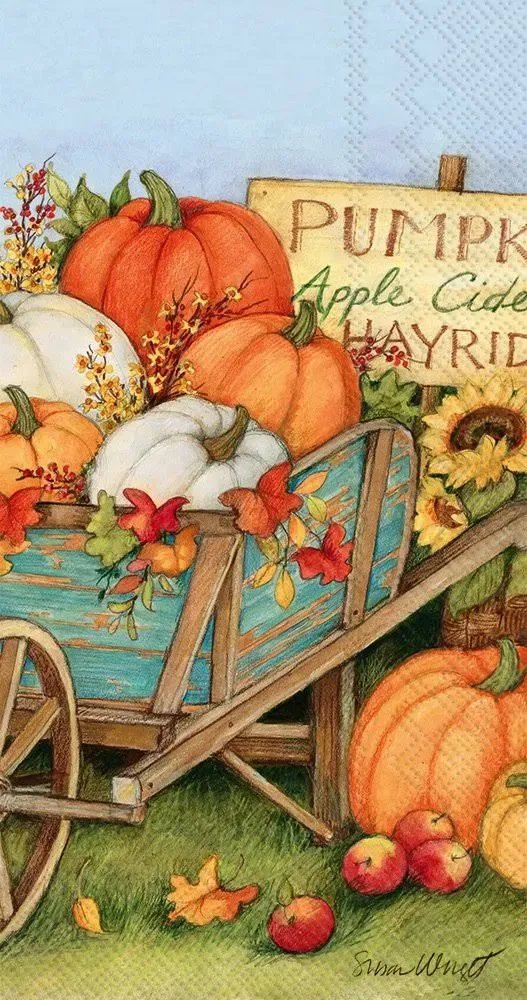 Boston International IHR Guest Towel Buffet Paper Napkins, 8.5" X 4.5", Pumpkin Crop