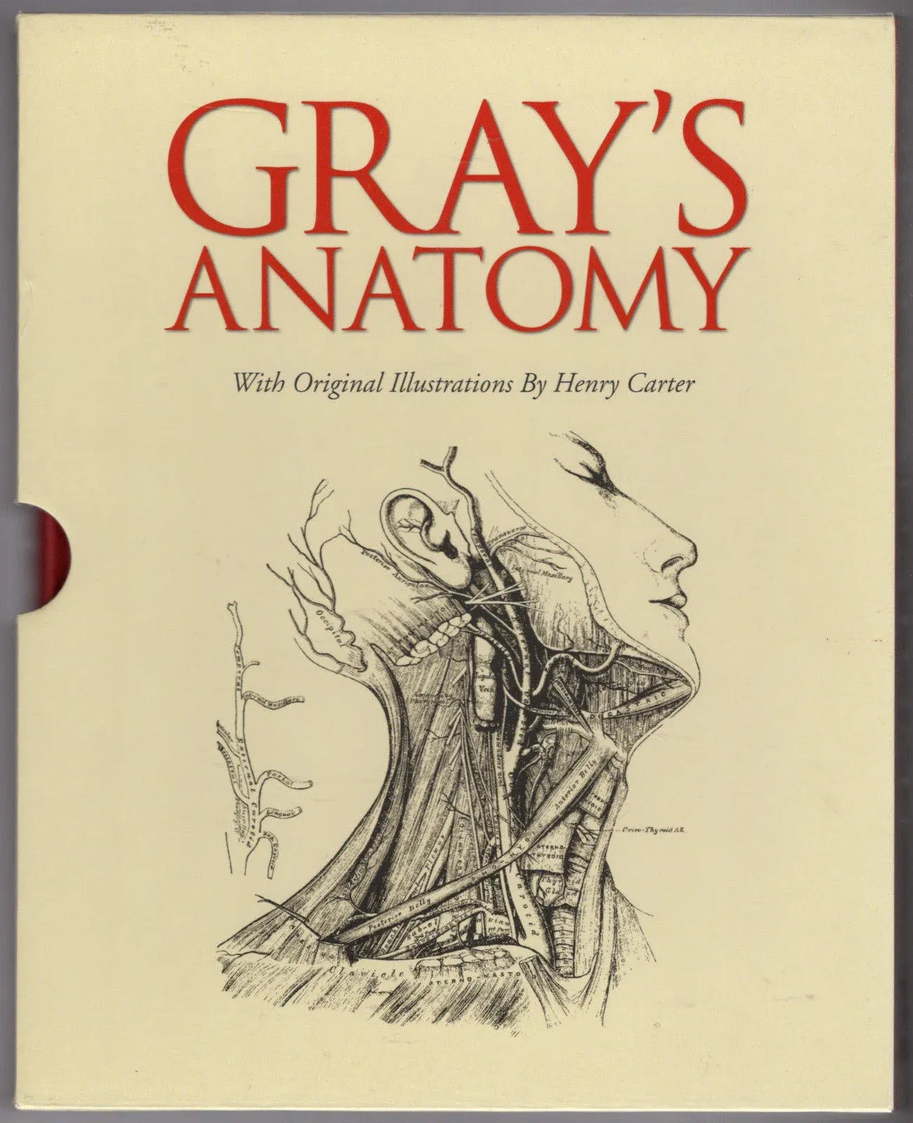 Gray's Anatomy: Slip-case Edition