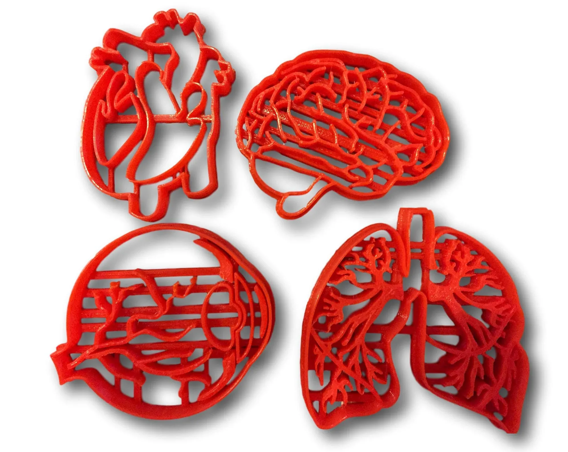 Human Tissue Anatomy Cookie Cutter (Set of 4)