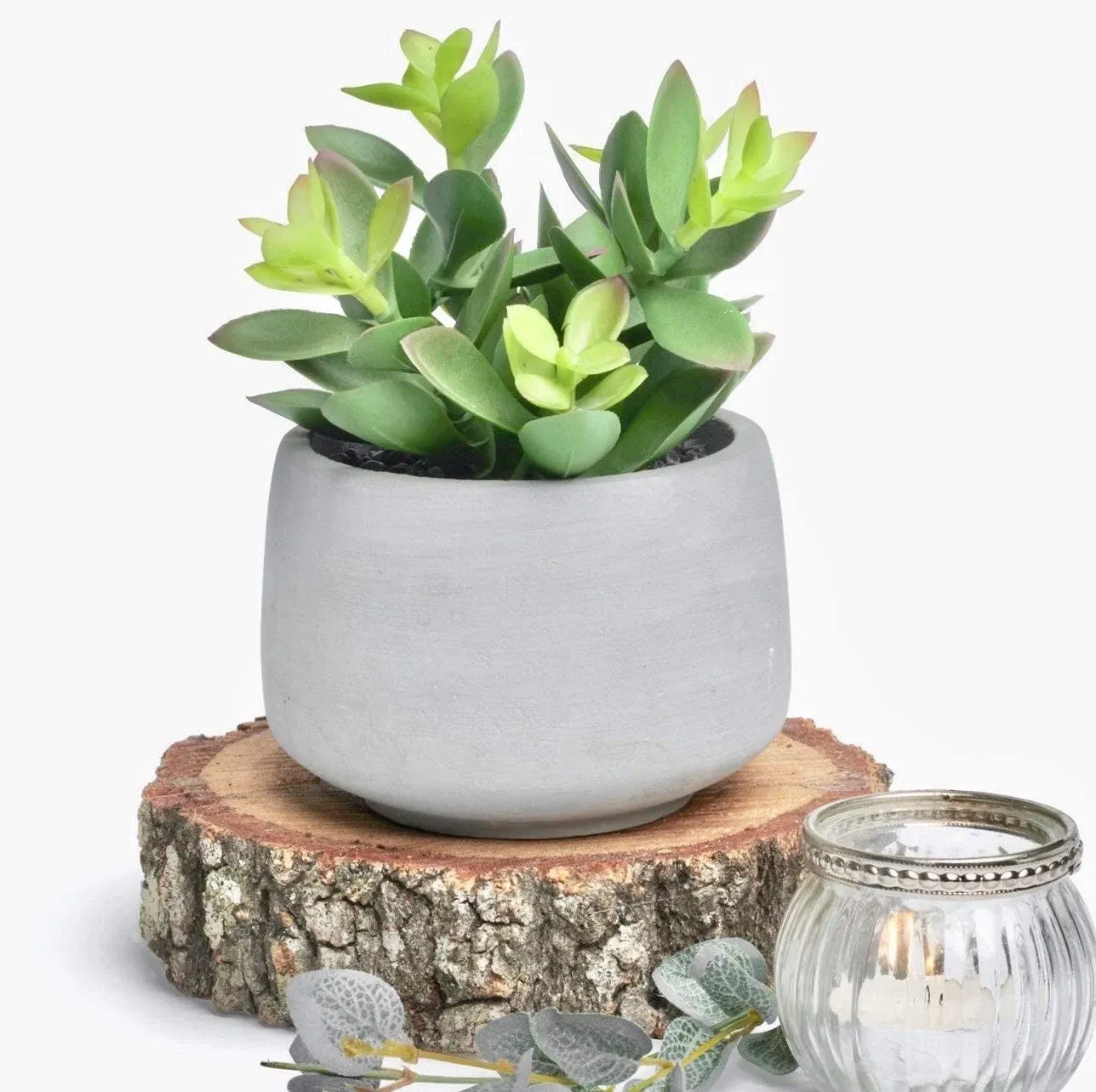 Kurrajong Farmhouse Artificial Plant | 7" Fake Plant | Artificial Succulent in Pot | Fake Succulent | Faux Plant Indoor | Succulent Plant Artificial | Faux Succulent in Pot for Desk Decor