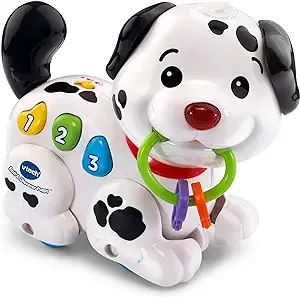 VTech Roll & Discover Puppy