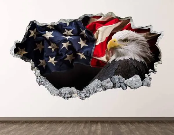 American Flag Eagle Wall Decal 3D Smashed Decor Sticker Poster Kids Room BL1883