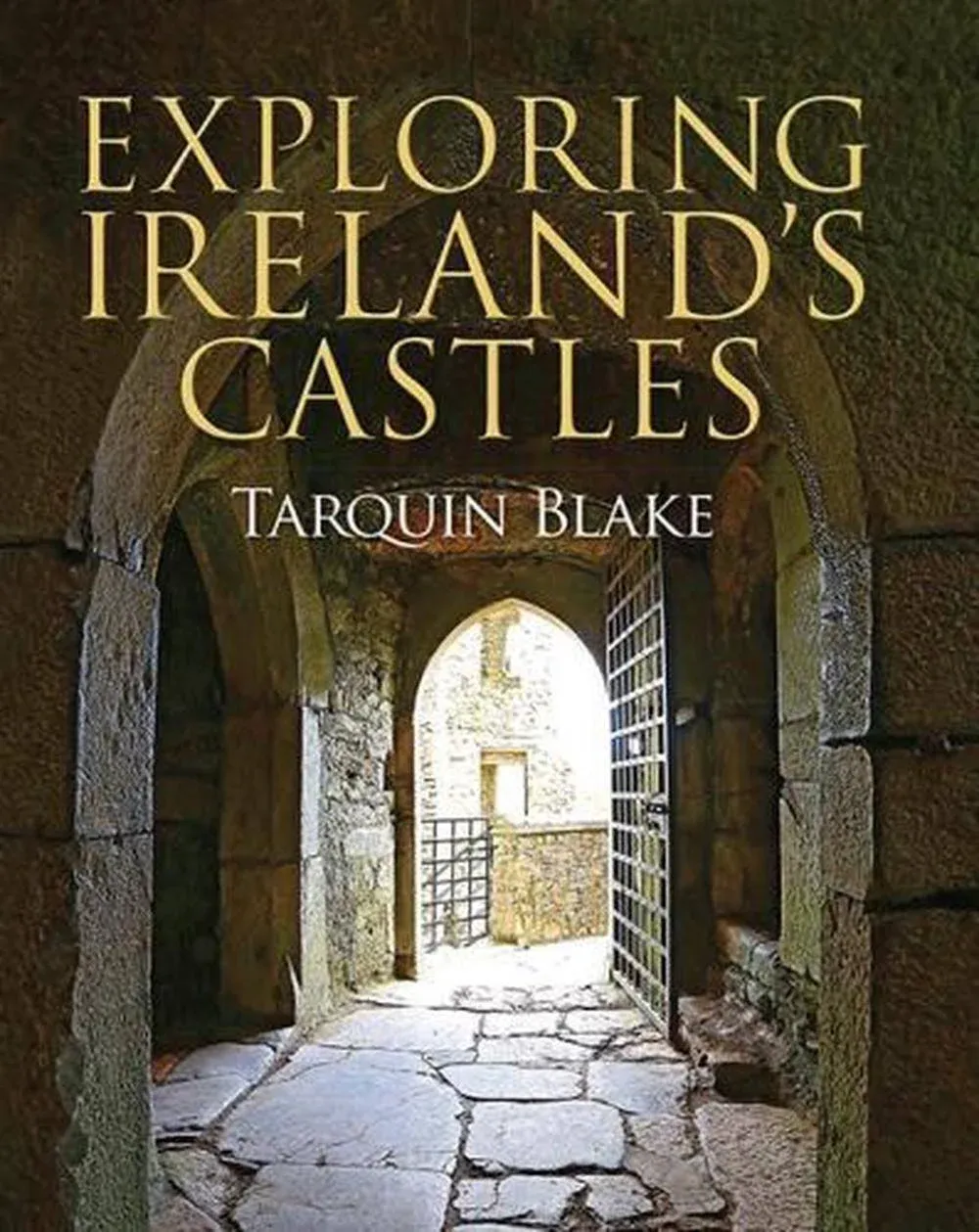 Exploring Ireland's Castles [Book]