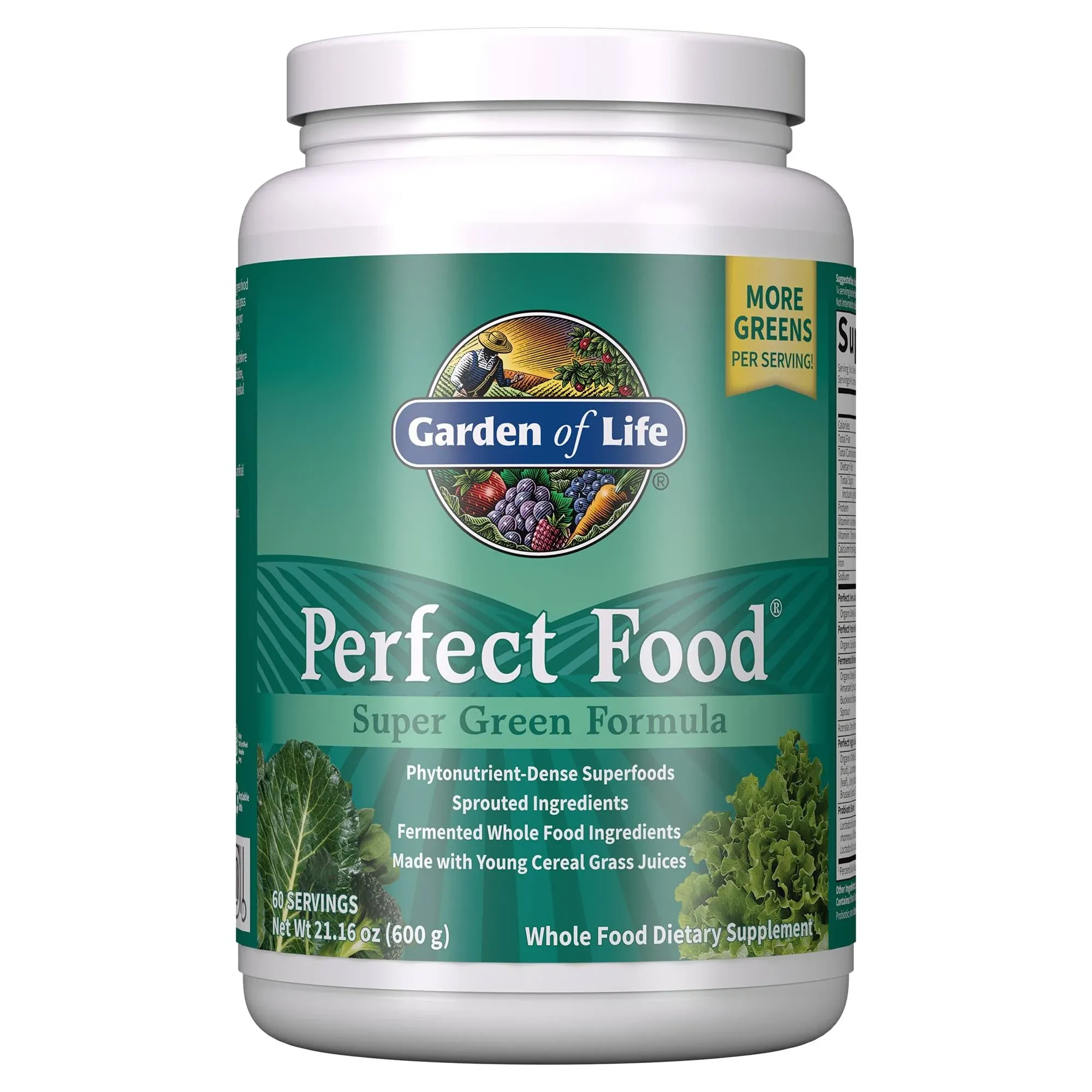 Garden of Life Perfect Food Super Green Formula - 30 Servings | 45 Superfoods, Greens, Fruit & Veggie Juice Superfood Powder Supplement, Probiotics & Organic Spirulina for Digestion & Immune Health