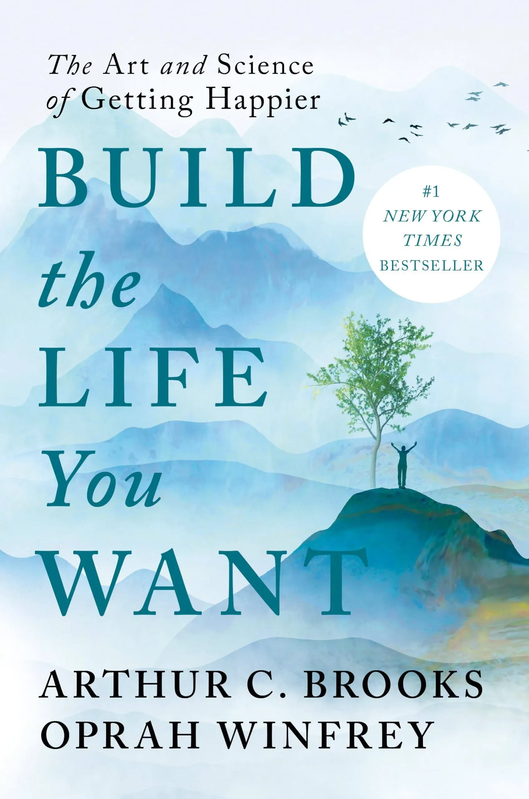 Build the Life You Want: The Art and Science of Getting Happier [Book]