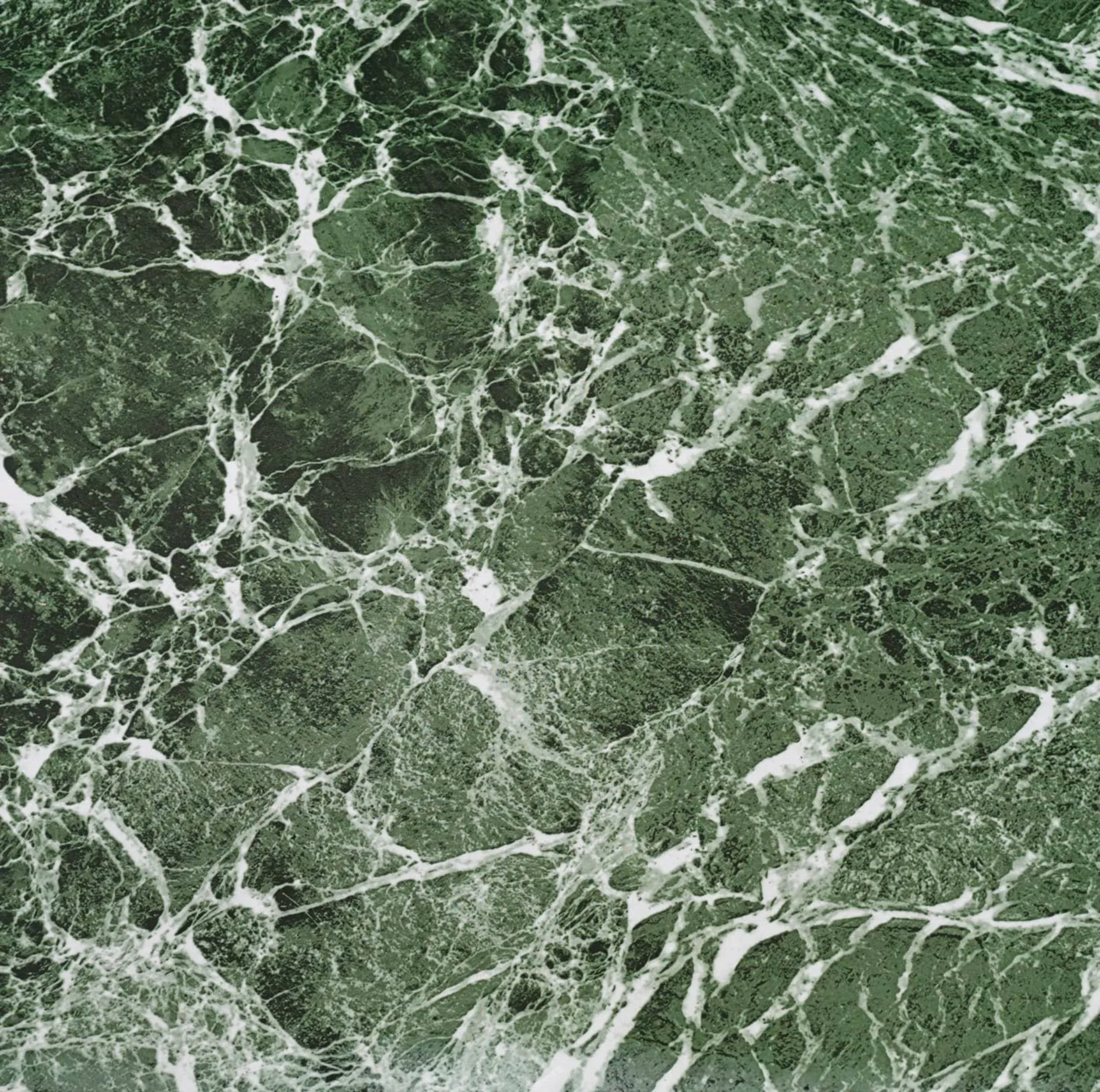 Achim Nexus Forest Marble 12 in. x 12 in. Self Adhesive Vinyl Floor Tile (20-Tiles/20 Sq. ft.)