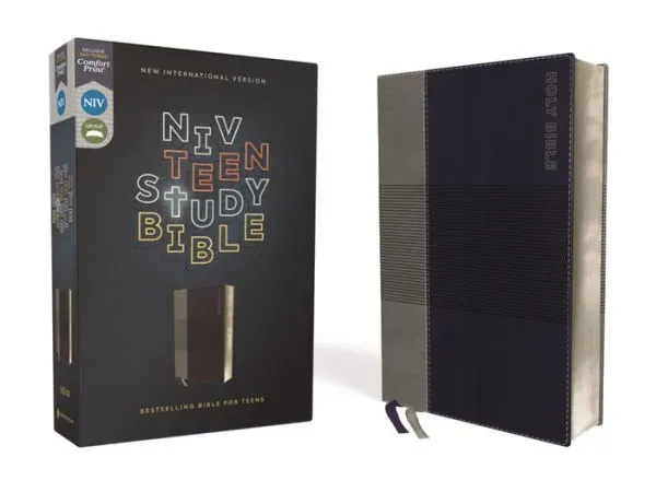 NIV Teen Study Bible Comfort Print [Brown] [Book]