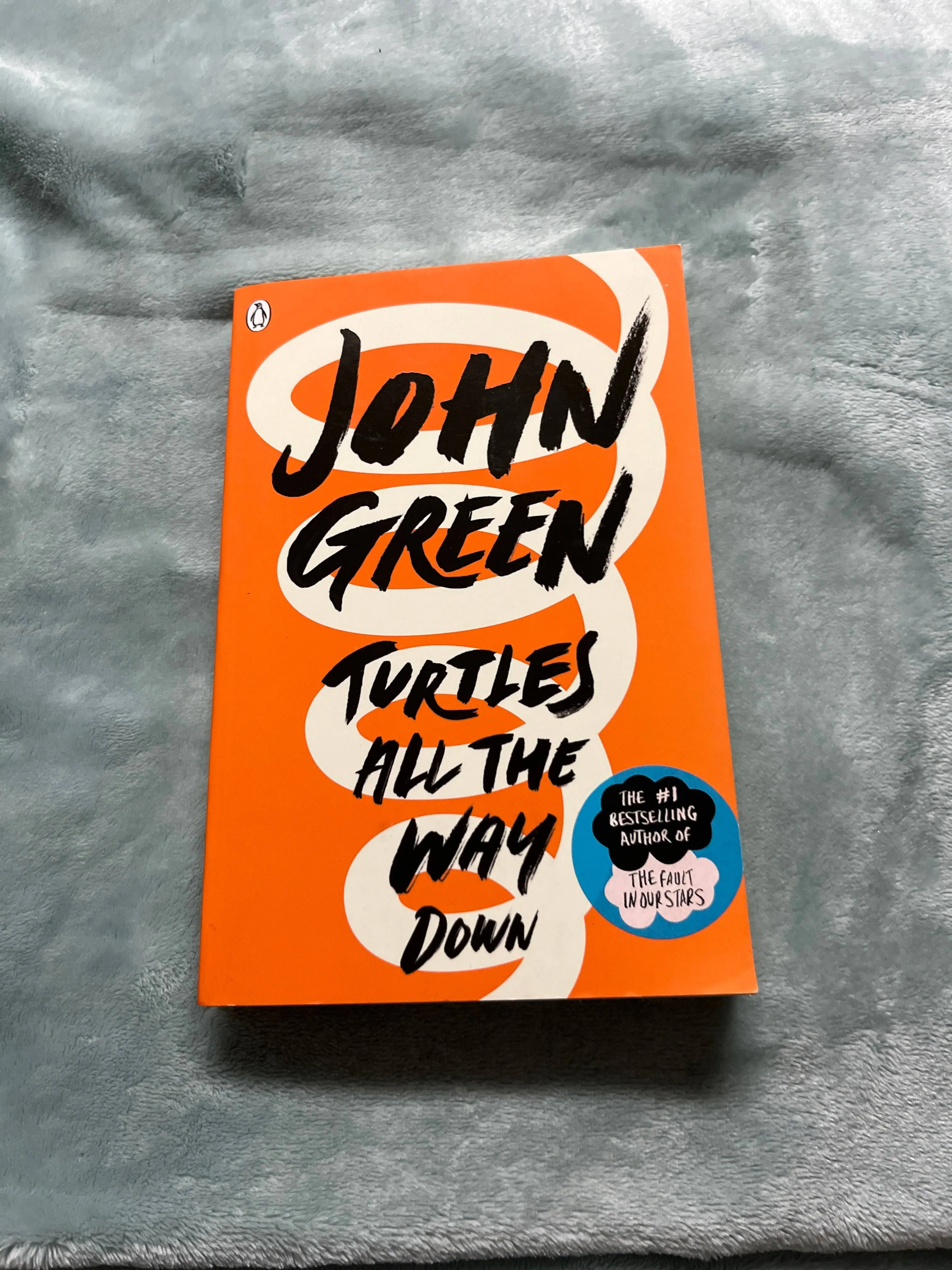 Study Guide: Turtles All the Way Down by John Green (SuperSummary)