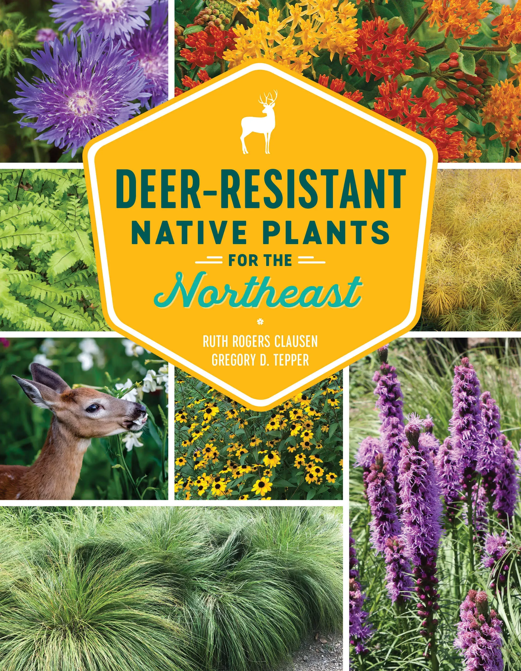 Deer-Resistant Native Plants for the Northeast