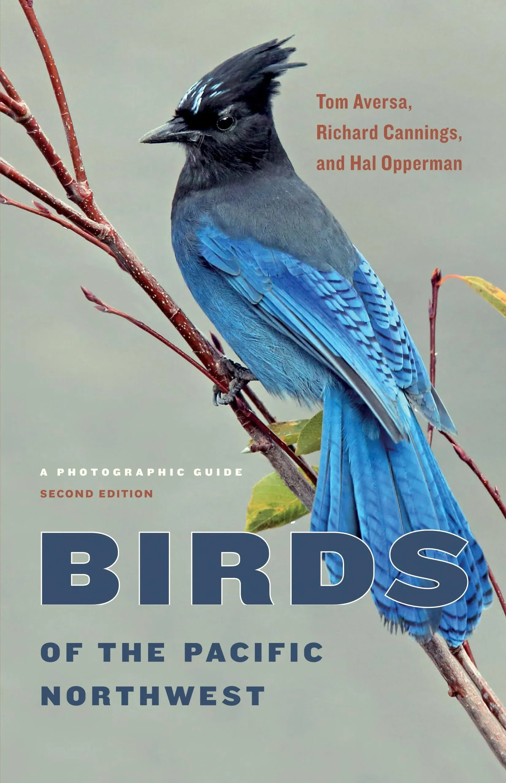 Birds of the Pacific Northwest: A Photographic Guide [Book]