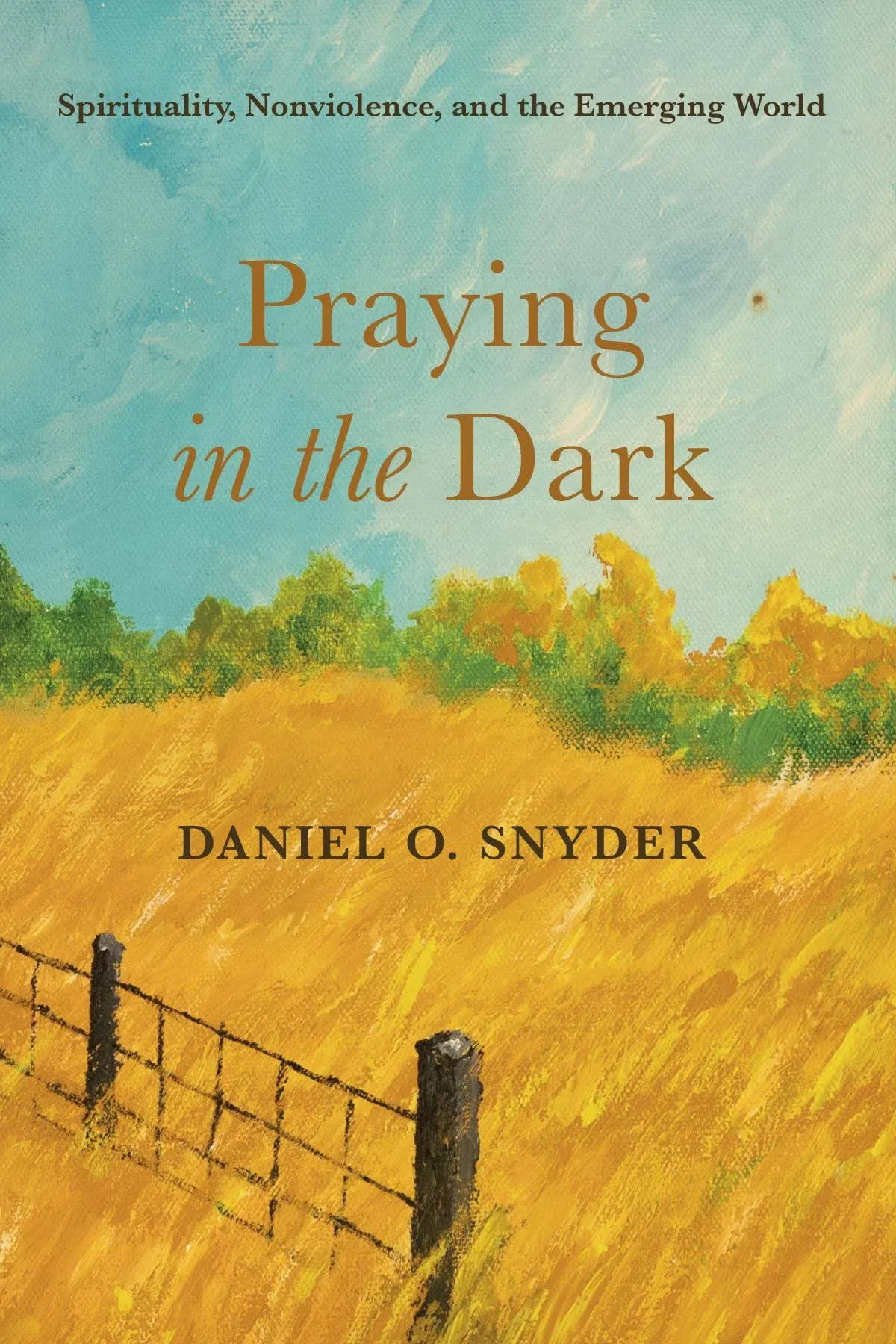 Praying in the Dark: Spirituality, Nonviolence, and the Emerging World [Book]