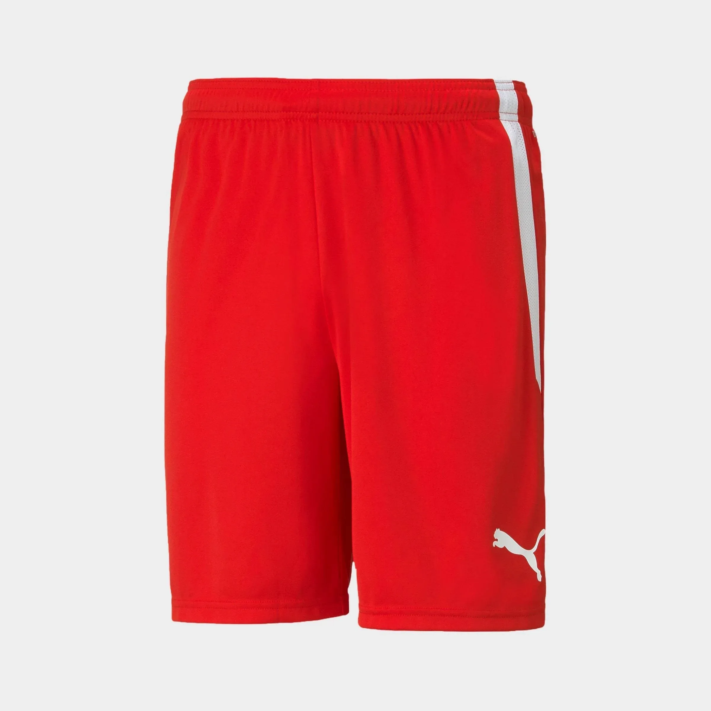 Puma - Womens Teamliga Shorts