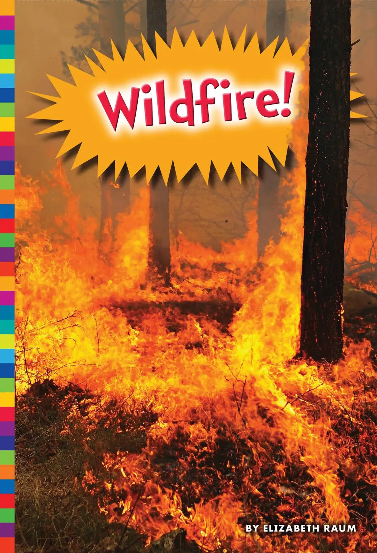 Wildfire! [Book]