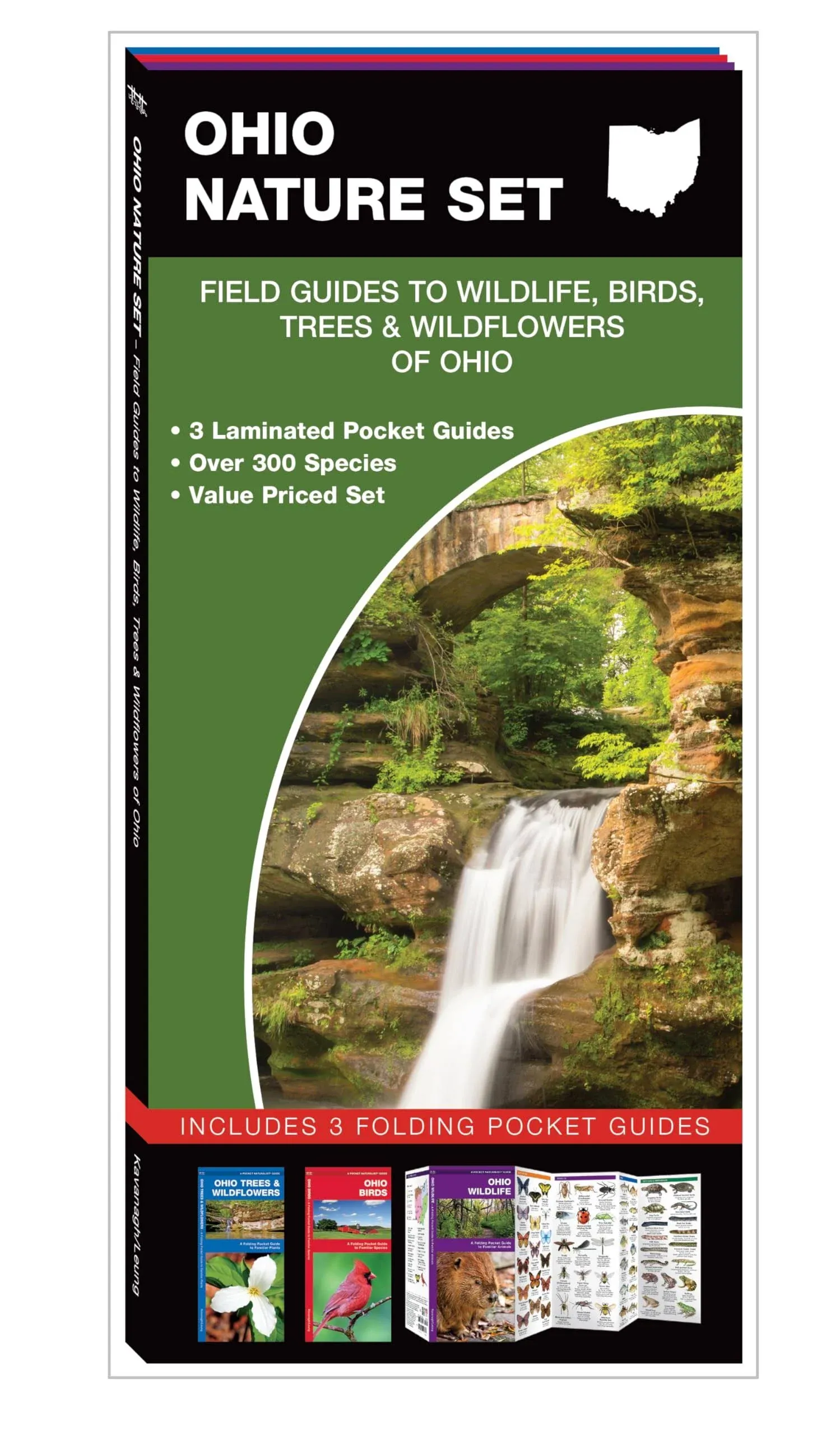 Ohio Nature Set: Field Guides to Wildlife, Birds, Trees & Wildflowers of Ohio [Book]