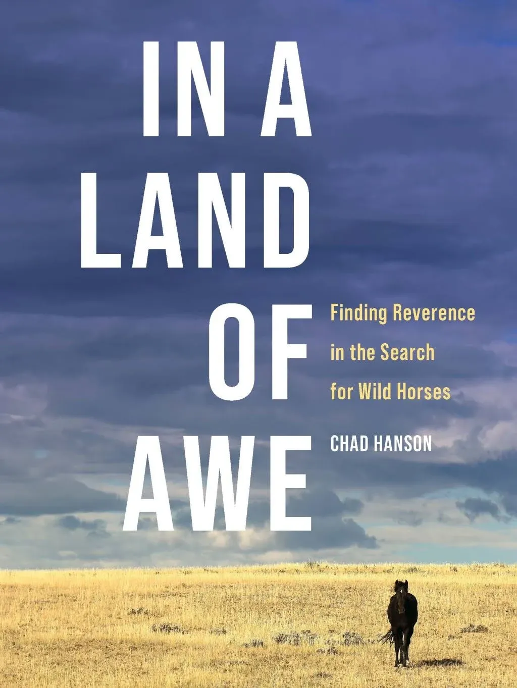 In a Land of Awe: Finding Reverence in the Search for Wild Horses