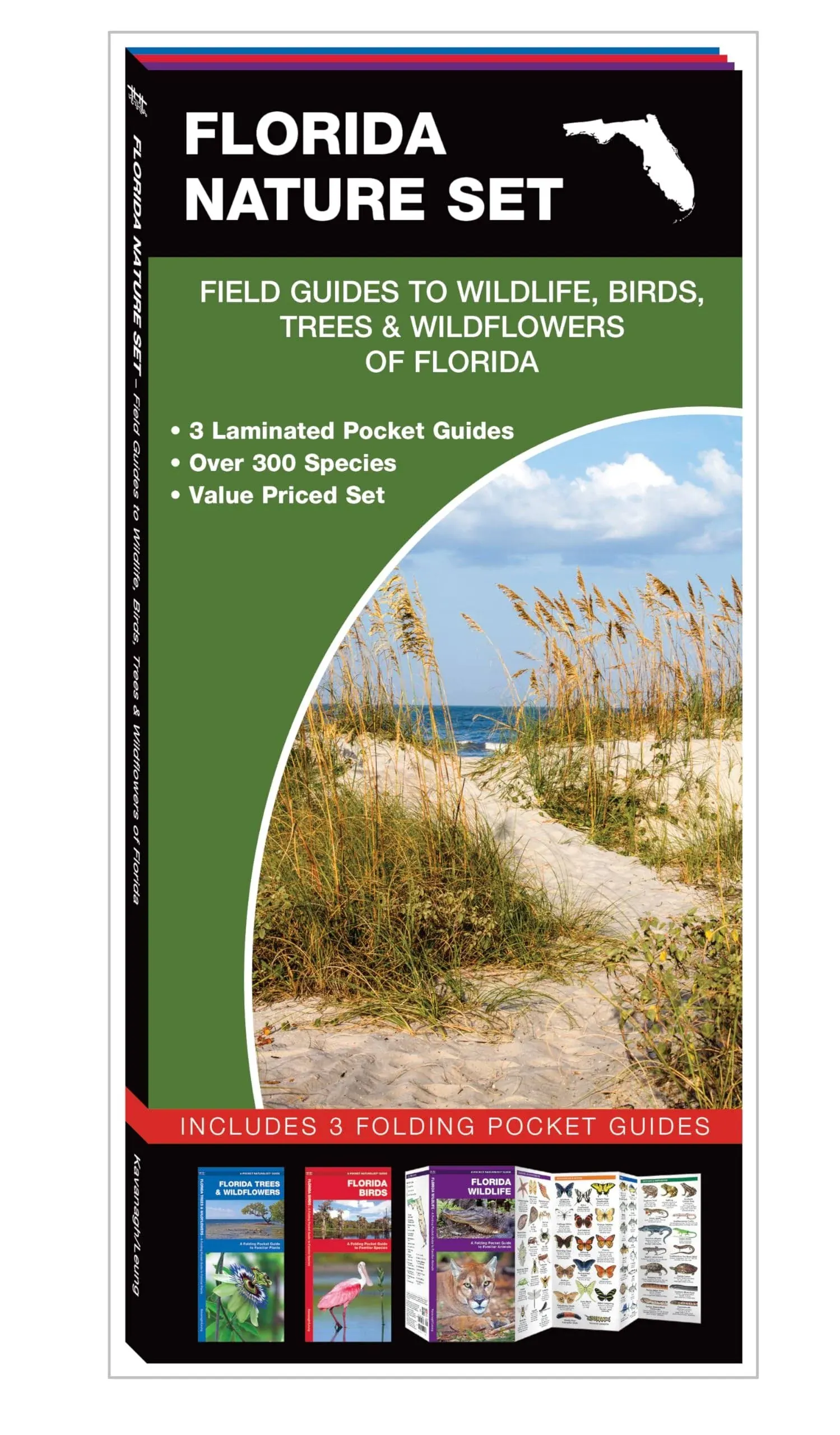 Florida Nature Set: Field Guides to Wildlife, Birds, Trees & Wildflowers of ...