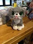 Ty Beanie Boos Fergus The Cat with Big Green Eyes and Glitter - The Plush with Big Sparkly Eyes 15 cm T36581